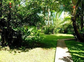 Bonjouir Lodge Paradise Teahupoo Екстериор снимка